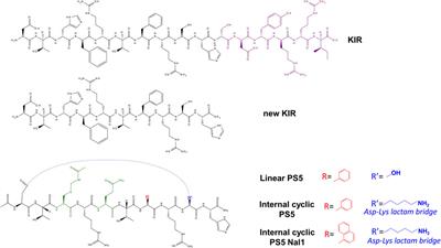 Proteomimetics of Natural Regulators of JAK–STAT Pathway: Novel Therapeutic Perspectives